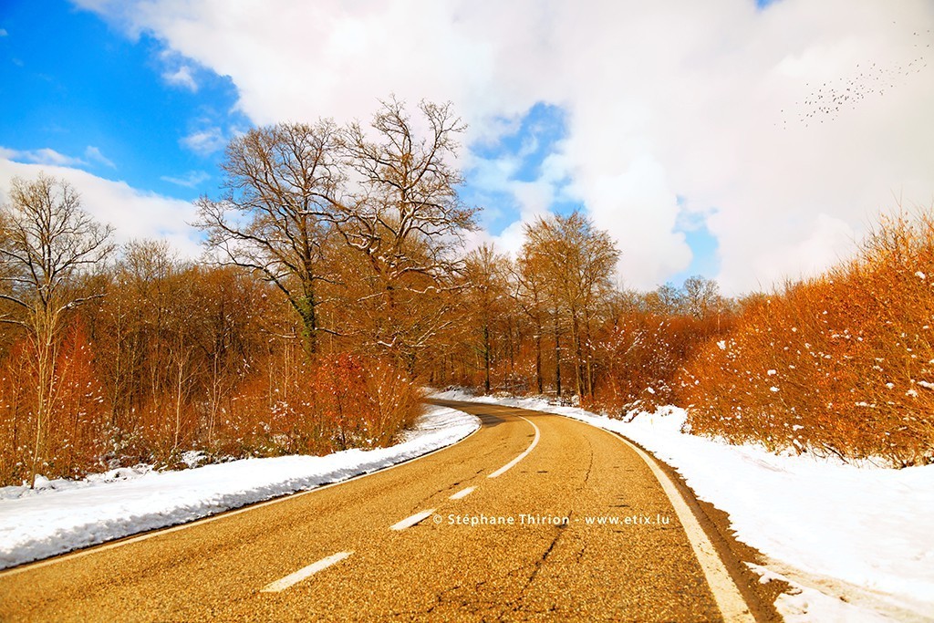 Route et paysage neigeux de Gaume par St&eacute;phane Thirion &eacute;tix 