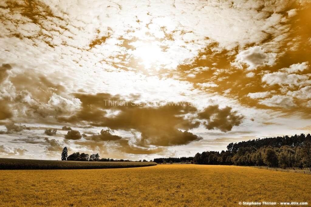 Paysage nuageux et prairie par St&eacute;phane Thirion photographe