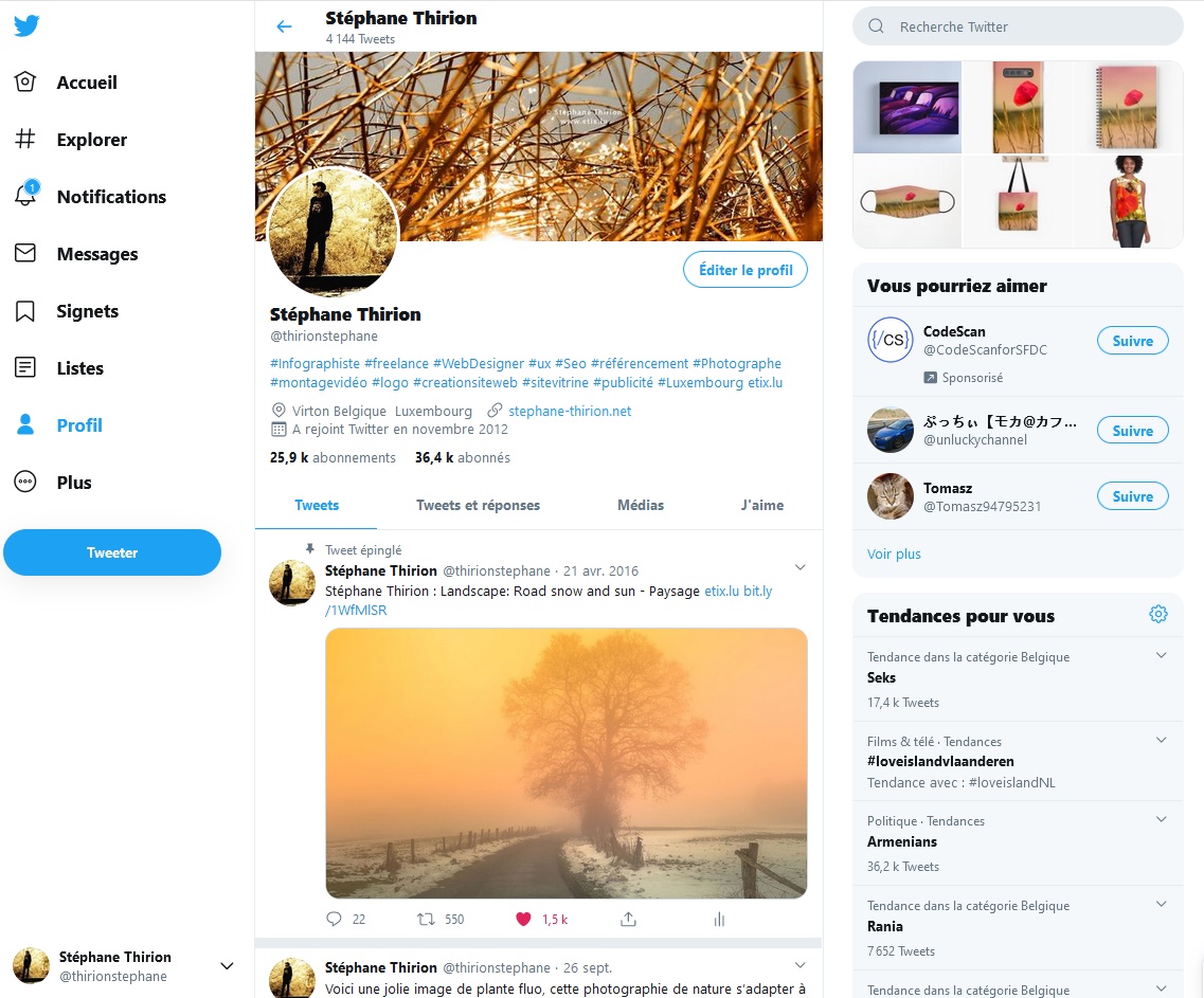 Stéphane Thirion Twitter Photographe SEO SEA SMO freelance
