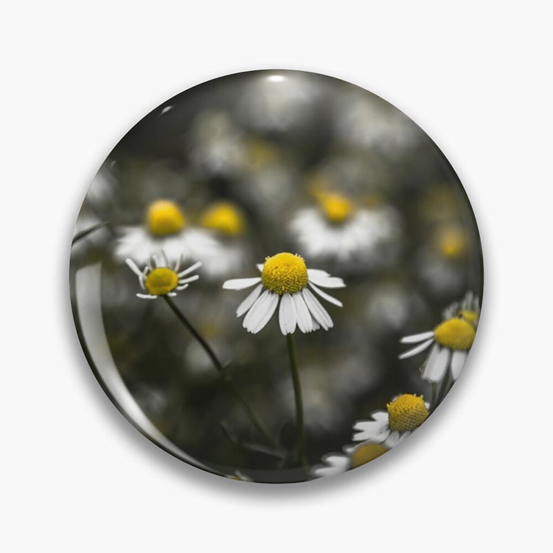 badge marguerite fond noir