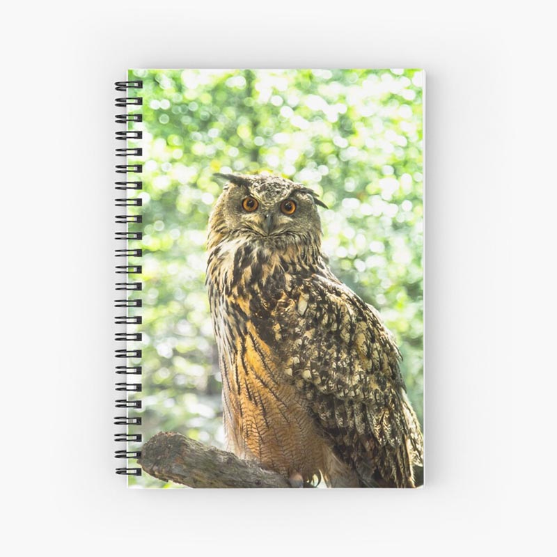 cahier hibou