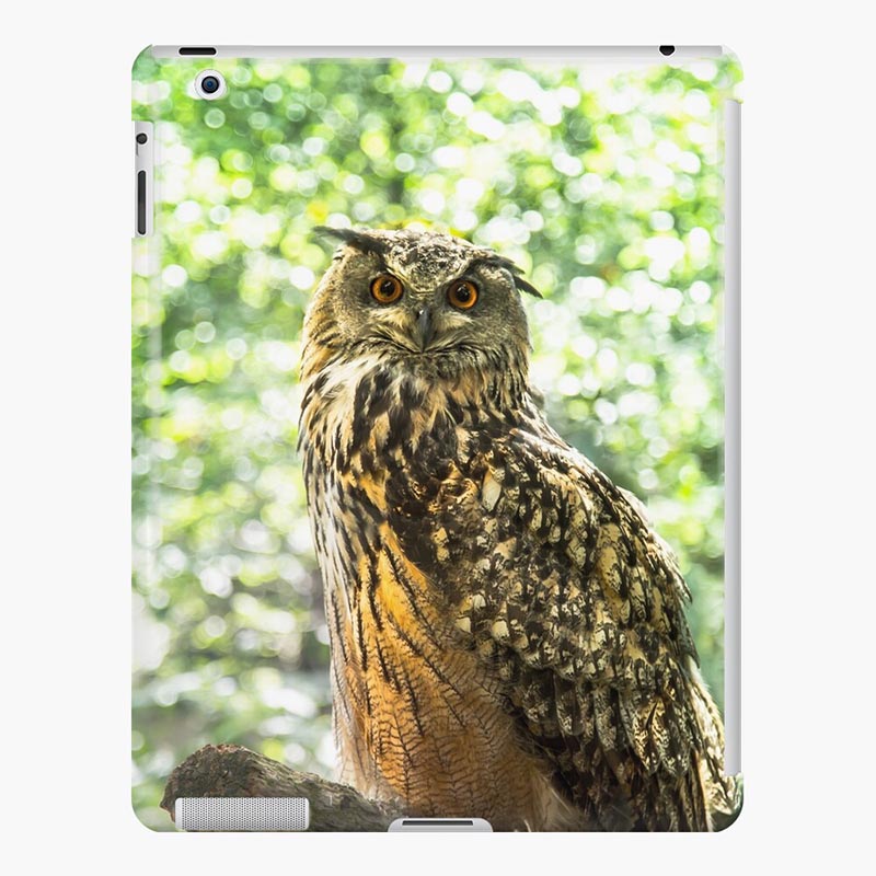 coque ipad hibou