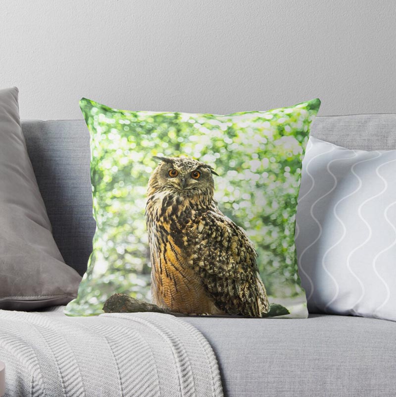 coussin hibou