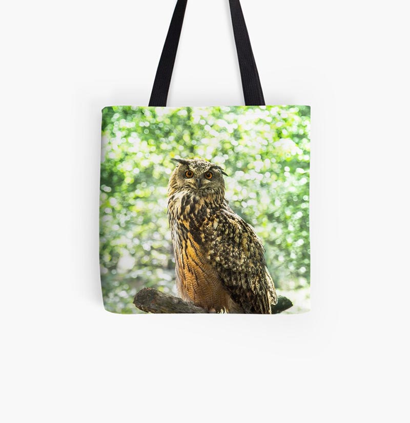 sac hibou